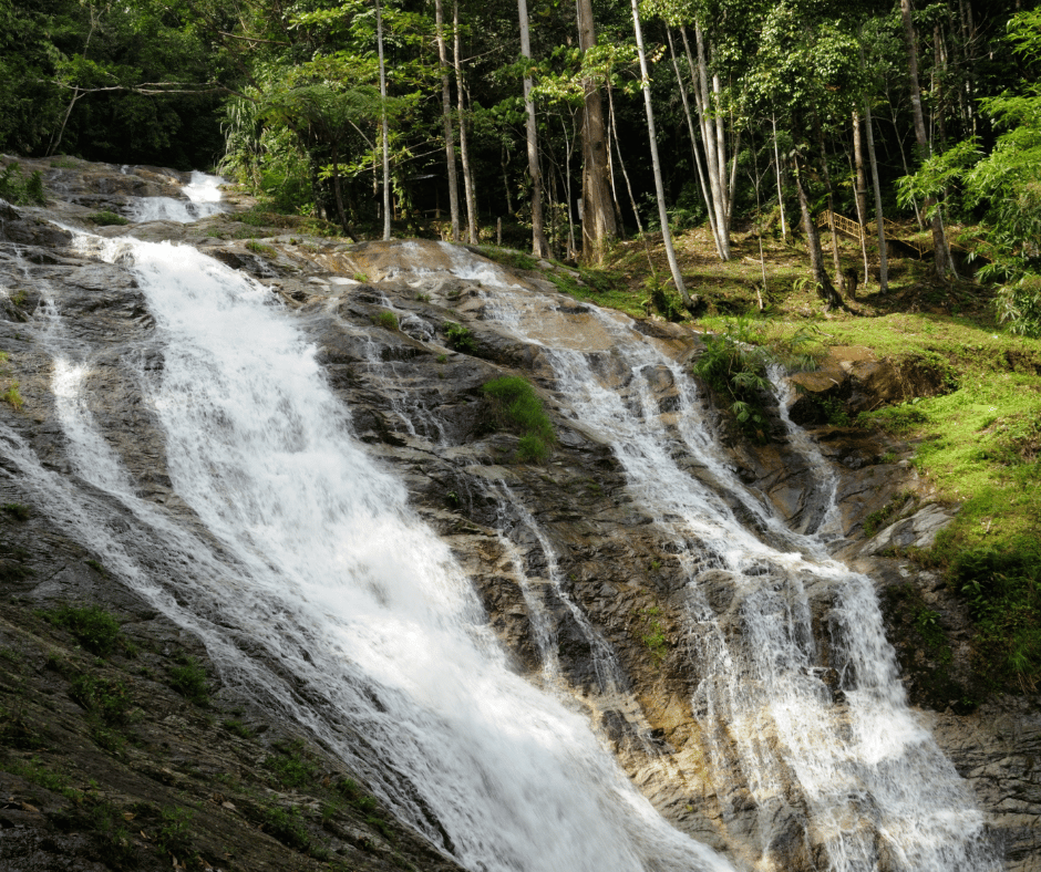 Image 37